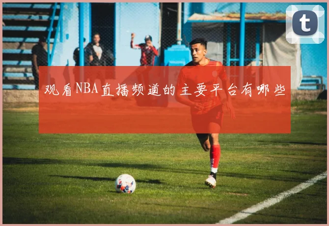 观看NBA直播频道的主要平台有哪些