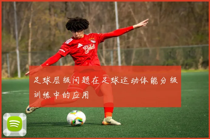 足球层级问题在足球运动体能分级训练中的应用