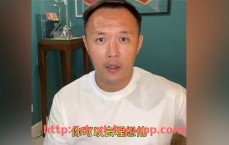 乐鱼体育入口-英超不靠身体成功的球员案例及技战术分析